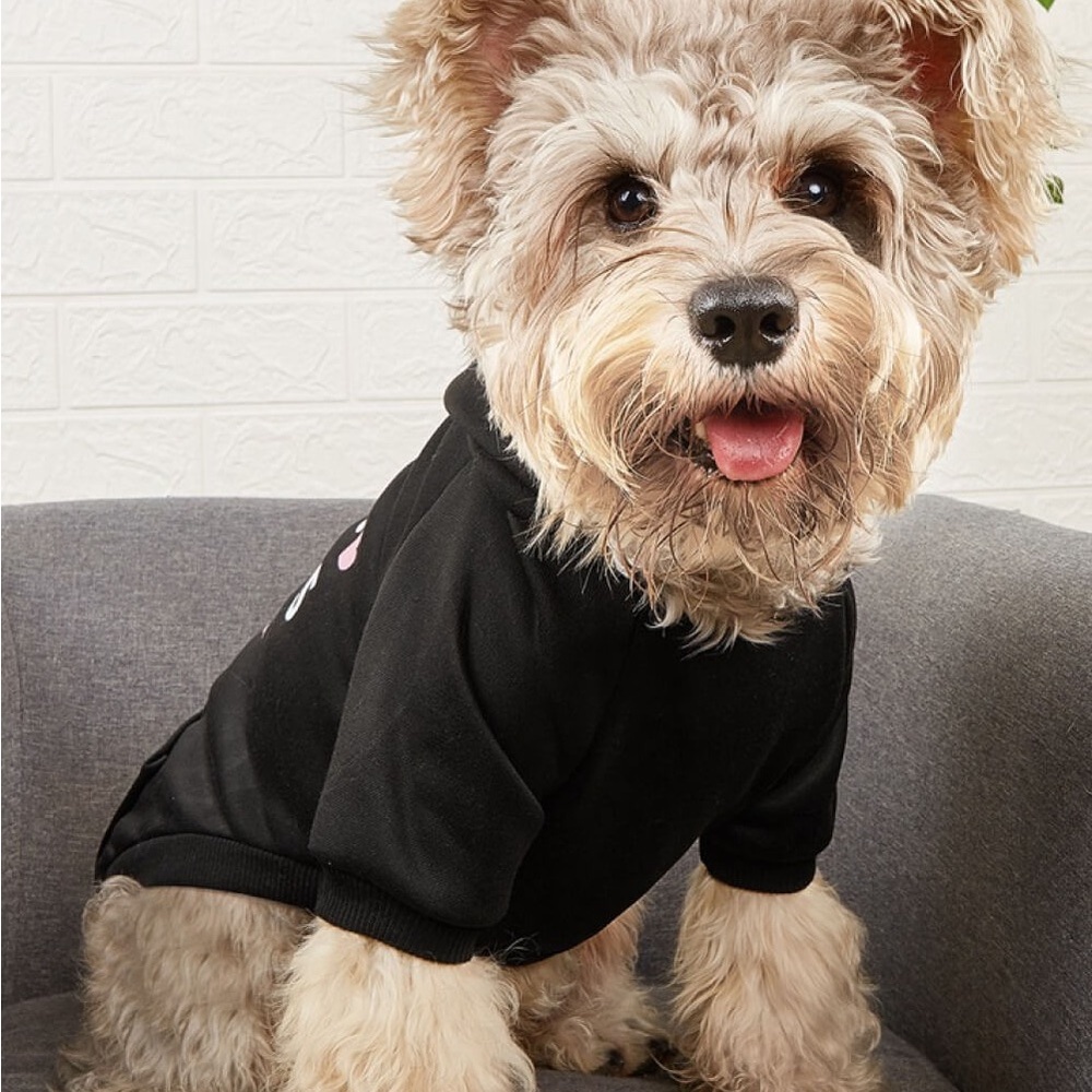 I GIVE FREE KISSES Pet Fleece Lined Hoodie | dog sweater - Picture 2 of 5